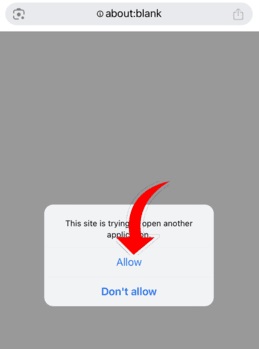 Click Allow when it Asks To Open Another Application